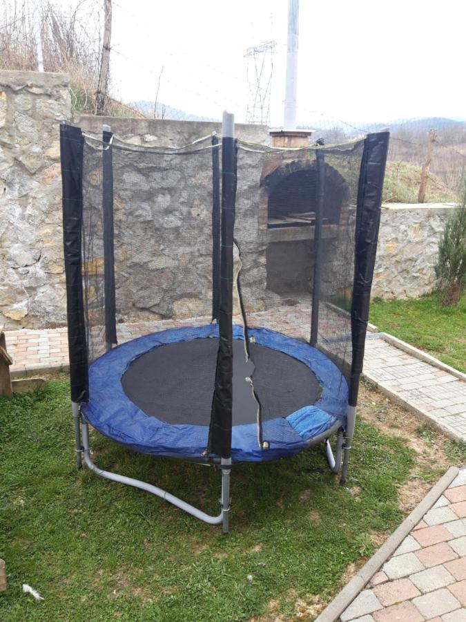 Colt De Rai - De Inchiriat Homestay *