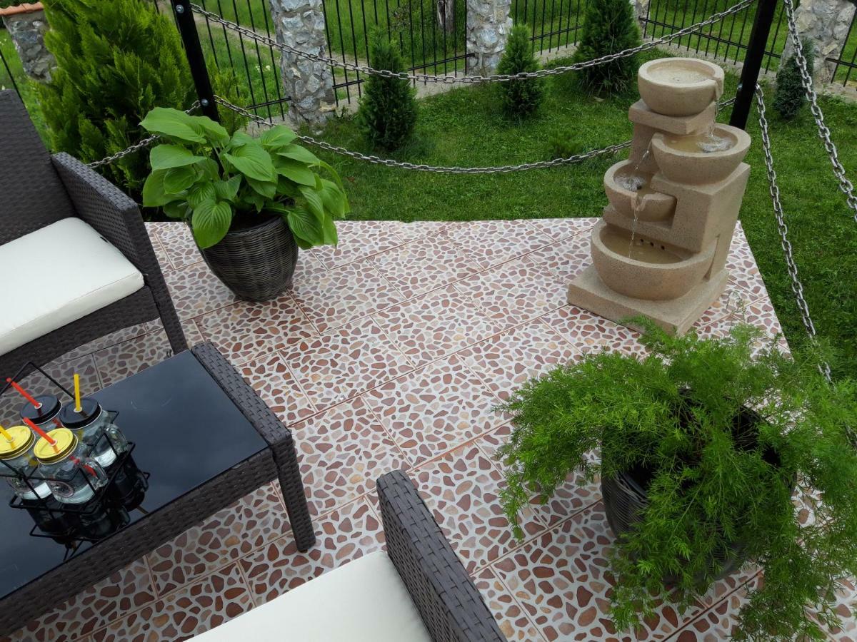 Colt De Rai - De Inchiriat Homestay *